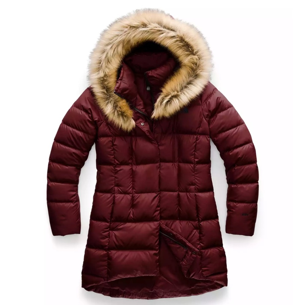 North Face Dealio Down Parka Puffer Jacket with Faux Fur Removable Hood NWT